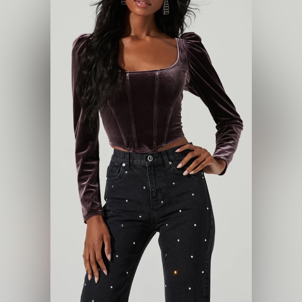 NWOT ASTR The Label Ashbury Velvet Corset Long Sleeve Top in Raisin